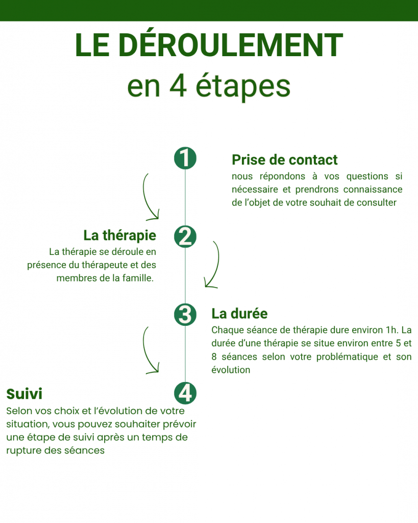 Le déroulement de la thérapie systémique